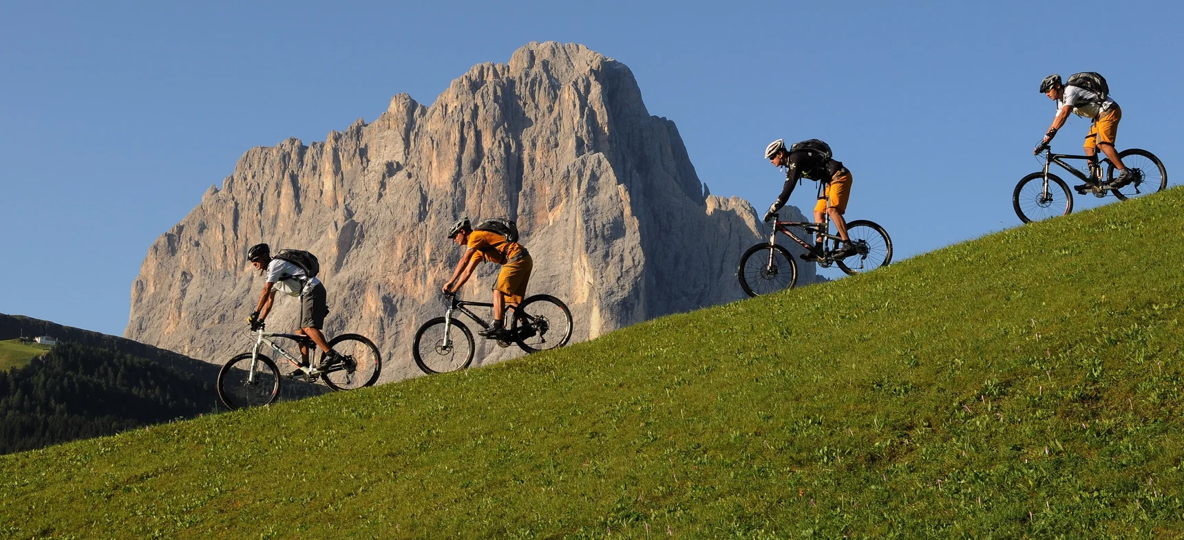 Guided bike tours