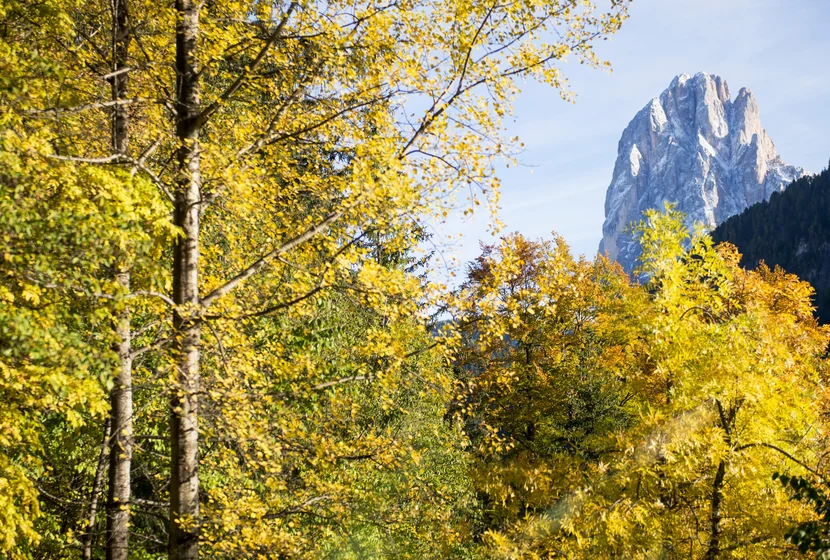 groeden-herbst-03.jpg