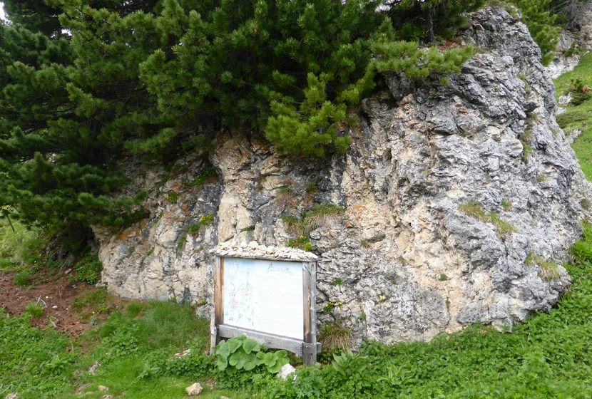 gardeno-selladilla-1.jpg
