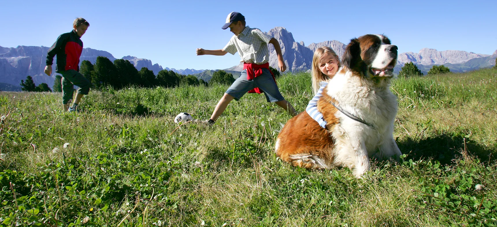 In vacanza col cane