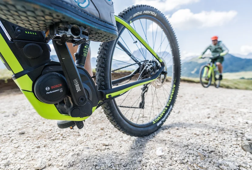 Bike rentals