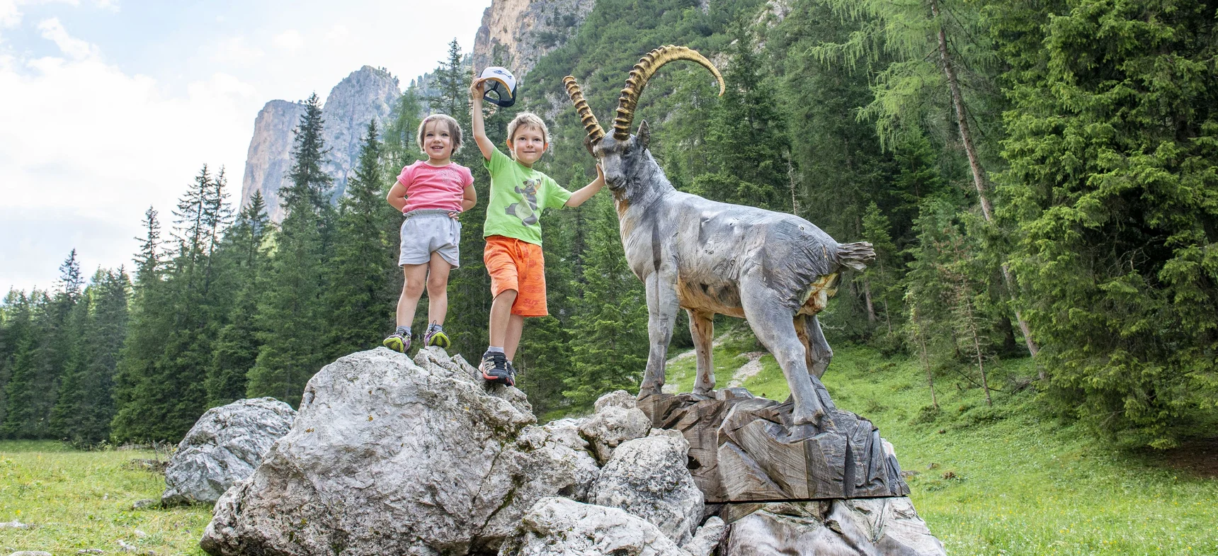 Animali nel bosco in Val Gardena