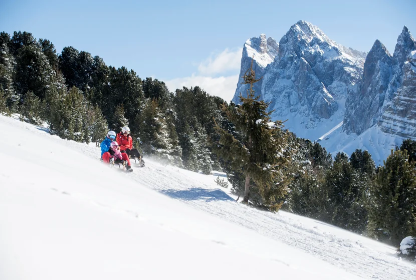 Sleigh rides