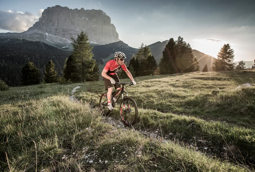 MTB-Bike & Rennrad