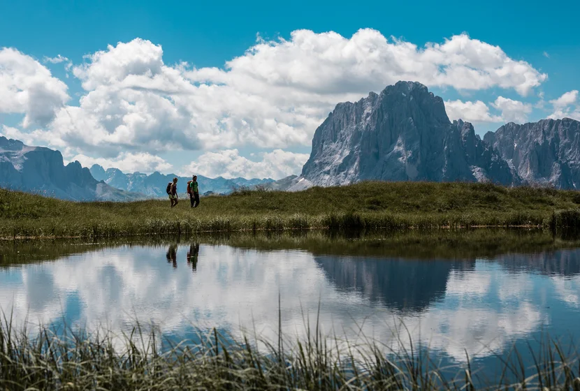 Flowery Dolomites - La Val Gardena in piena fioritura