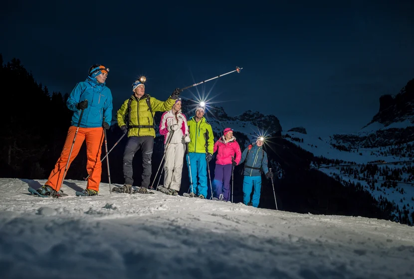 Special DOLOMITES nights