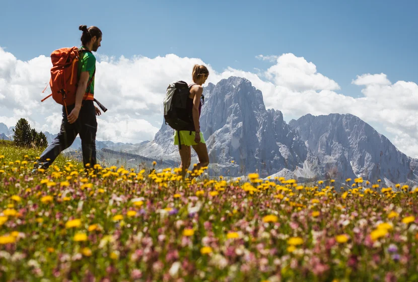 Flowery Dolomites - La Val Gardena in piena fioritura