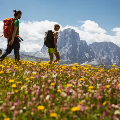 Flowery Dolomites