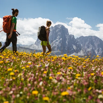 Flowery Dolomites