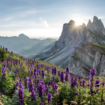 Seceda perfekt erleben