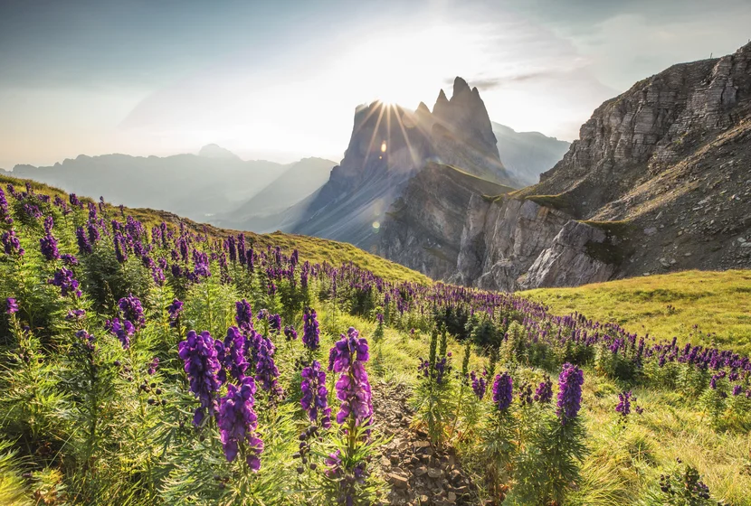 Respect the Dolomites & Dolomites Ranger