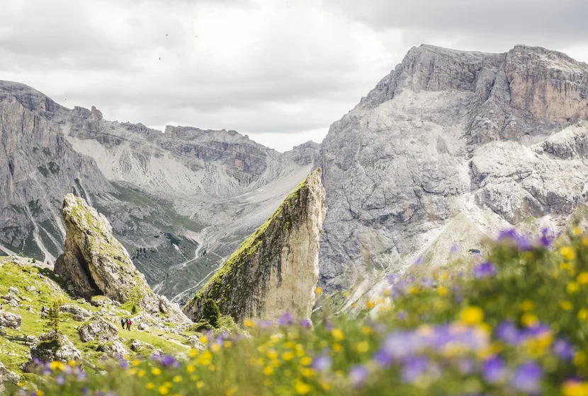 Seceda_Val_Gardena__46_.jpg
