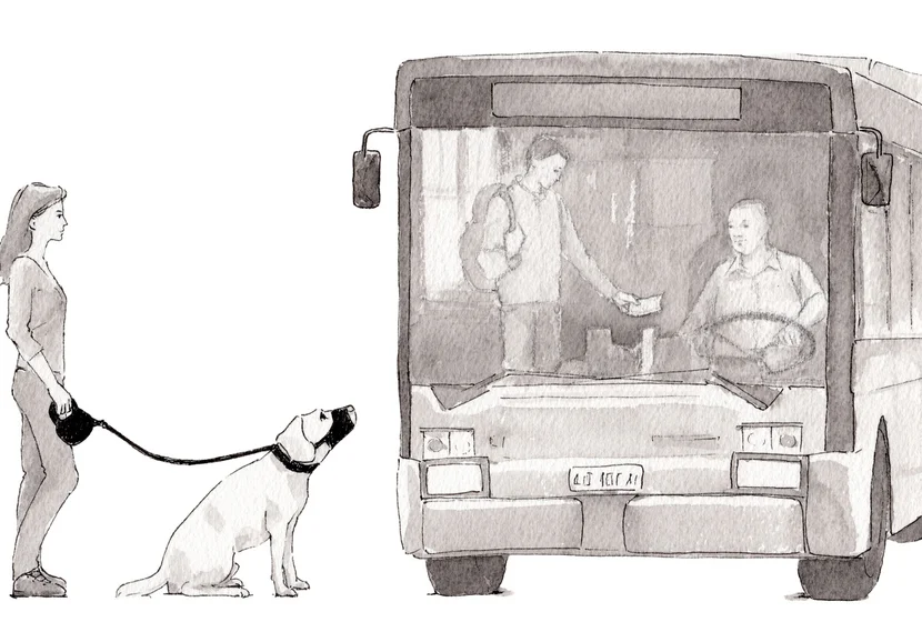 Bus.jpg
