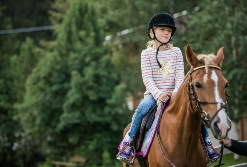 Equitazione e giri in carrozza