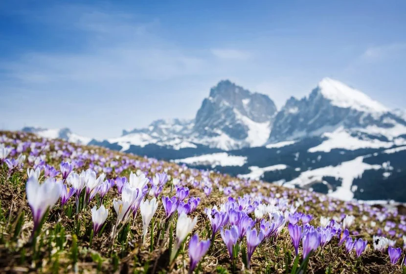 secret-dolomites1.jpg