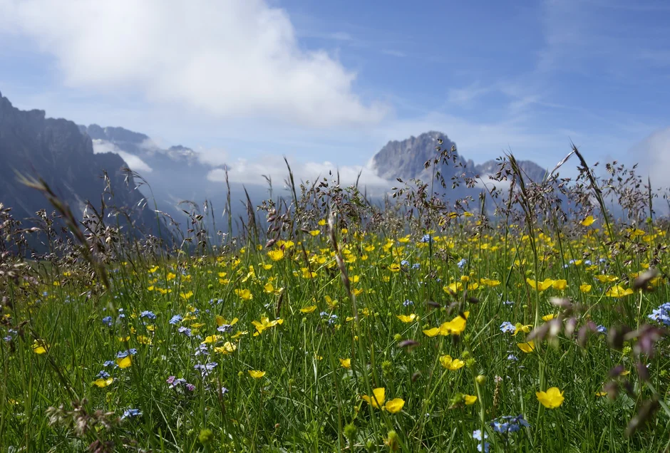 IT 0:03 / 47:00 „Das Grödnertal – Zwischen Mystik und Moderne“