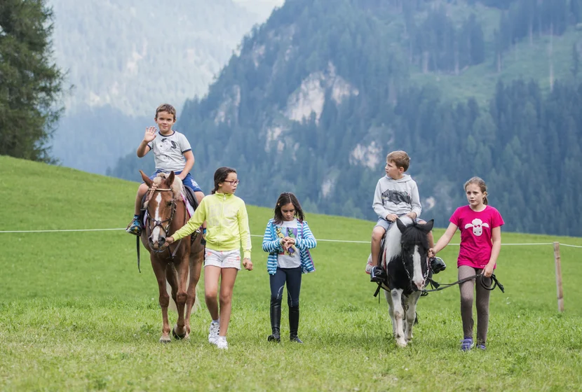 Val Gardena Kids Active - Tiere