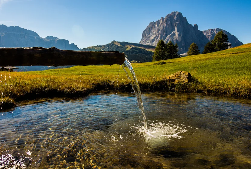 Ega dla Dolomites