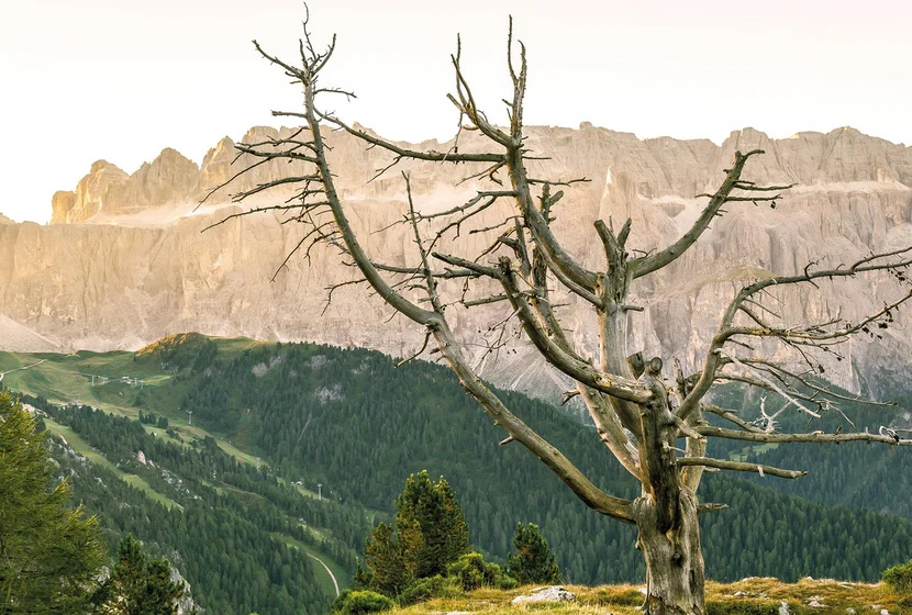 DOLOMITES Sunrise Val Gardena