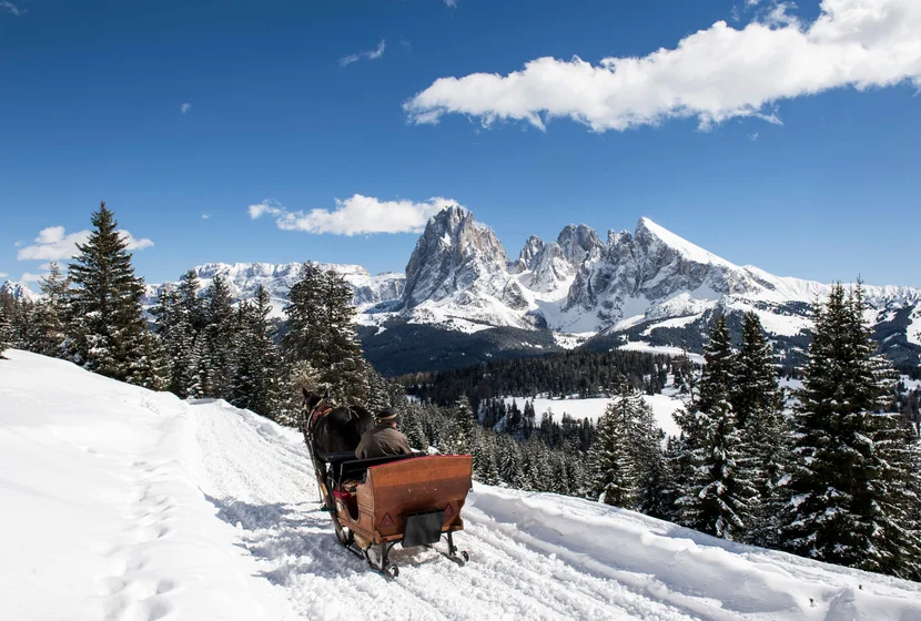 Reiten & Kutschenfahrten
