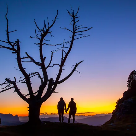 Top DOLOMITES Experiences